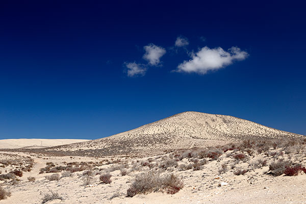 Fuerteventura (Canary Islands, Spain)