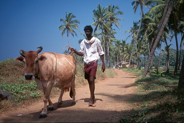 South India