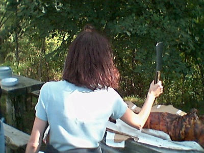 slika pogl. 11