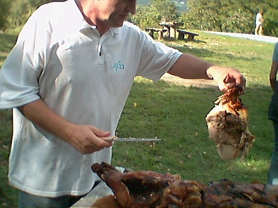 slika pogl. 12